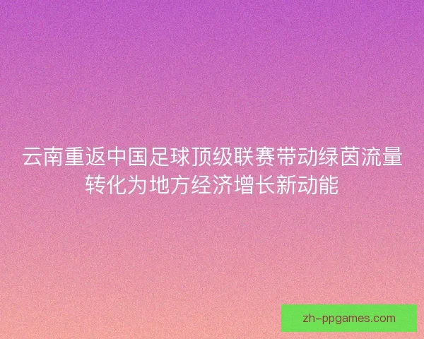 云南重返中国足球顶级联赛带动绿茵流量转化为地方经济增长新动能