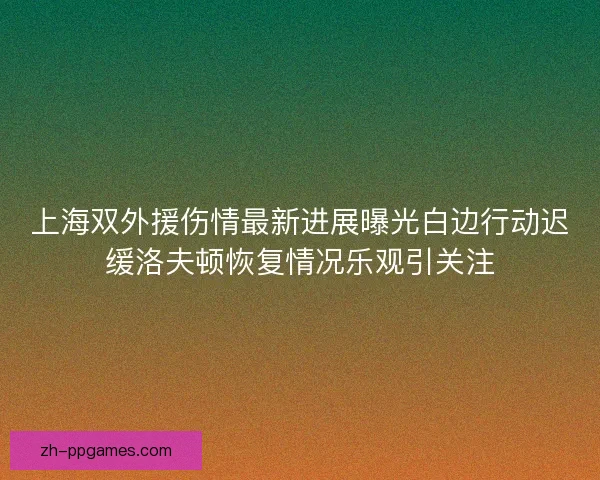 上海双外援伤情最新进展曝光白边行动迟缓洛夫顿恢复情况乐观引关注